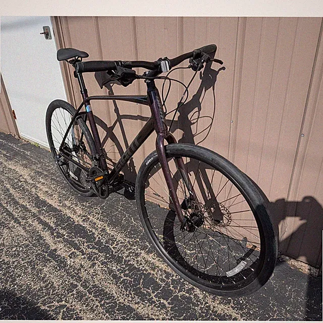 Giant Escape 2 Disc, Rosewood, Size L