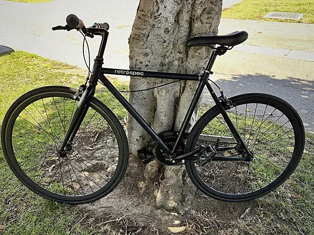Harper Fixie Bike | Single Speed | Matte Black | S: 48cm