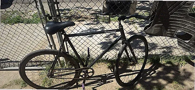 Retrospec Triathlon Bike