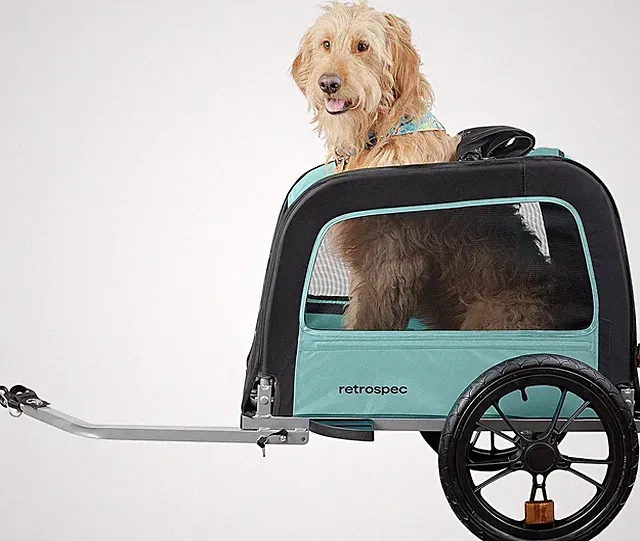 Rover Waggin' Pet and Dog Bike Trailer with Weather-Resistant Canopy & Mesh Shie